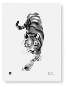 Plakát Sneaking Tiger 30x40 cm Teemu Järvi Illustrations