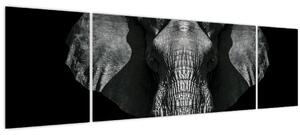 Obraz - Slon na černém pozadí (170x50 cm)