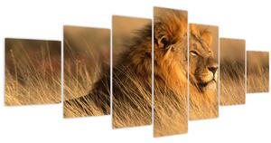 Obraz - Národní park Etosha (210x100 cm)