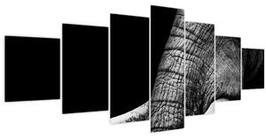 Obraz - Sloní kly (210x100 cm)