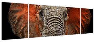 Obraz - Sloni z Tsavo (170x50 cm)