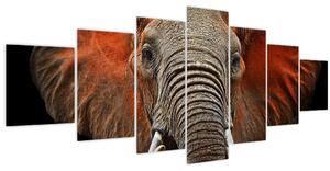 Obraz - Sloni z Tsavo (210x100 cm)