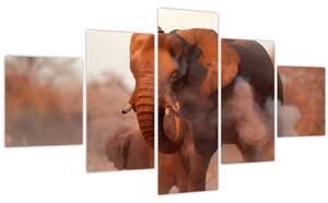 Obraz - Velký slon africký (125x70 cm)