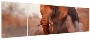 Obraz - Velký slon africký (170x50 cm)