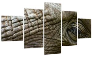Obraz - Detailní fotografie starého sloního oka (125x70 cm)