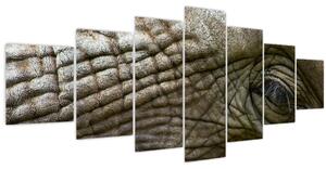 Obraz - Detailní fotografie starého sloního oka (210x100 cm)
