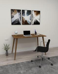 Aldo Psací stůl v minimalistickém designu z masívu Rixi walnut
