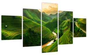 Obraz - Rýžové terasy Mu Cang Chai (125x70 cm)