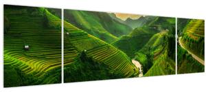 Obraz - Rýžové terasy Mu Cang Chai (170x50 cm)
