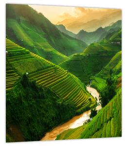 Obraz - Rýžové terasy Mu Cang Chai (30x30 cm)