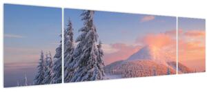 Obraz - Zimní krajina (170x50 cm)