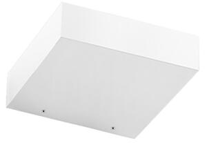 Linea Light CA036DWHMDI Regolo V2 160 Mono, bílé nástěnné svítidlo, LED 12W 2700K, šířka 15,4cm