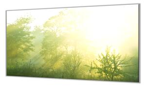 Ochranná deska stromy ve východu slunce - 50x70cm / S lepením na zeď