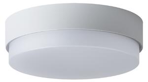 Osmont TRI50087 Triton 1, stropní stříbrné kruhové svítidlo, 2x25W E27, průměr 28cm, IP65