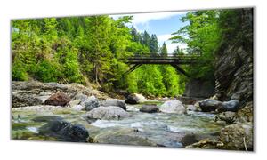 Ochranná deska železniční most v lese - 52x60cm / S lepením na zeď