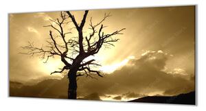 Ochranná deska západ slunce, silueta stromu - 52x60cm / S lepením na zeď