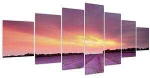 Obraz - Levandulové pole (210x100 cm)