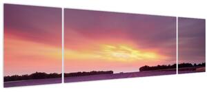 Obraz - Levandulové pole (170x50 cm)