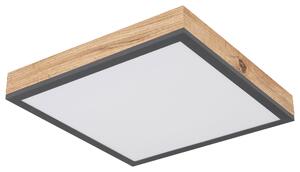 LED PANEL, 30/30/6 cm Globo - Online Only svítidla, Online Only