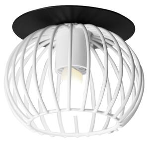 Stropní podhledové osvětlení NOME - 1xG9, 40W, 9cm, kulaté, černé / bílé