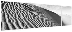 Obraz - Písečná duna (170x50 cm)
