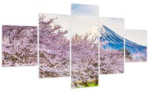 Obraz - Japonsko na jaře (125x70 cm)