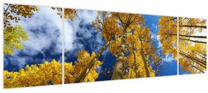 Obraz - Aspen (170x50 cm)