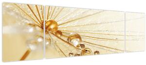 Obraz - Makro fotografie pampelišky (170x50 cm)