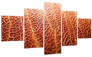 Obraz - Detail textury (125x70 cm)