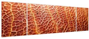 Obraz - Detail textury (170x50 cm)