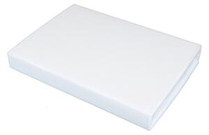 Prostěradlo BASIC LINE bílá, 100x200 cm