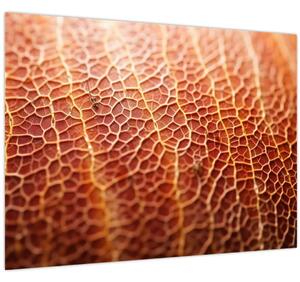 Obraz - Detail textury (70x50 cm)