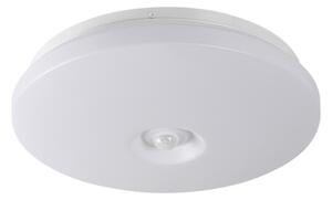LED stropní svítidlo Kanlux FOGLER E 12W NW