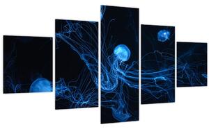 Obraz - Medúzy (125x70 cm)