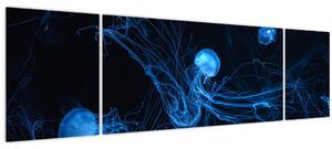 Obraz - Medúzy (170x50 cm)