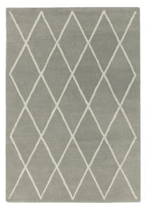 Šedý ručně tkaný vlněný koberec 200x290 cm Albany – Asiatic Carpets
