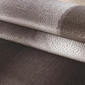 Ayyildiz koberce Kusový koberec Plus 8008 brown ROZMĚR: 160x230