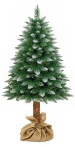 Aga Vánoční stromeček 150 cm s kmenem