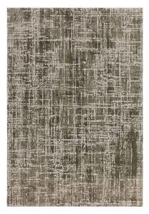 Khaki koberec 240x340 cm Kuza – Asiatic Carpets
