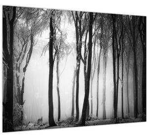 Obraz - Vlk v temném lese (70x50 cm)
