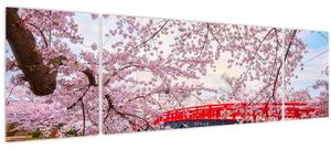 Obraz - Hirosaki, Japonsko (170x50 cm)