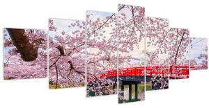 Obraz - Hirosaki, Japonsko (210x100 cm)