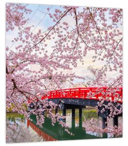Obraz - Hirosaki, Japonsko (30x30 cm)