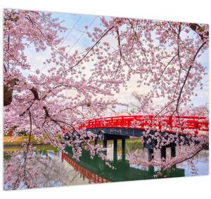 Obraz - Hirosaki, Japonsko (70x50 cm)