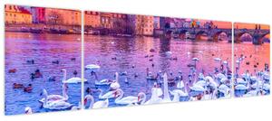 Obraz - Praha (170x50 cm)
