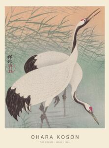 Obrazová reprodukce Two Cranes (Special Edition) - Ohara Koson