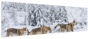 Obraz - Vlci v horách (170x50 cm)