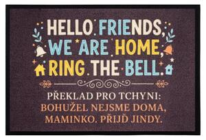 Mercury Flooring, Rohožka HELLO FRIENDS 40x60 cm - na ven i na doma, 40x60, šedá