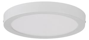 Stropní LED svítidlo IDUN-E bílá