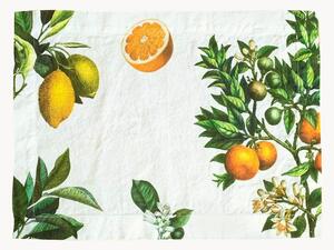 Sada lněných prostírání Citruses, 2 díly